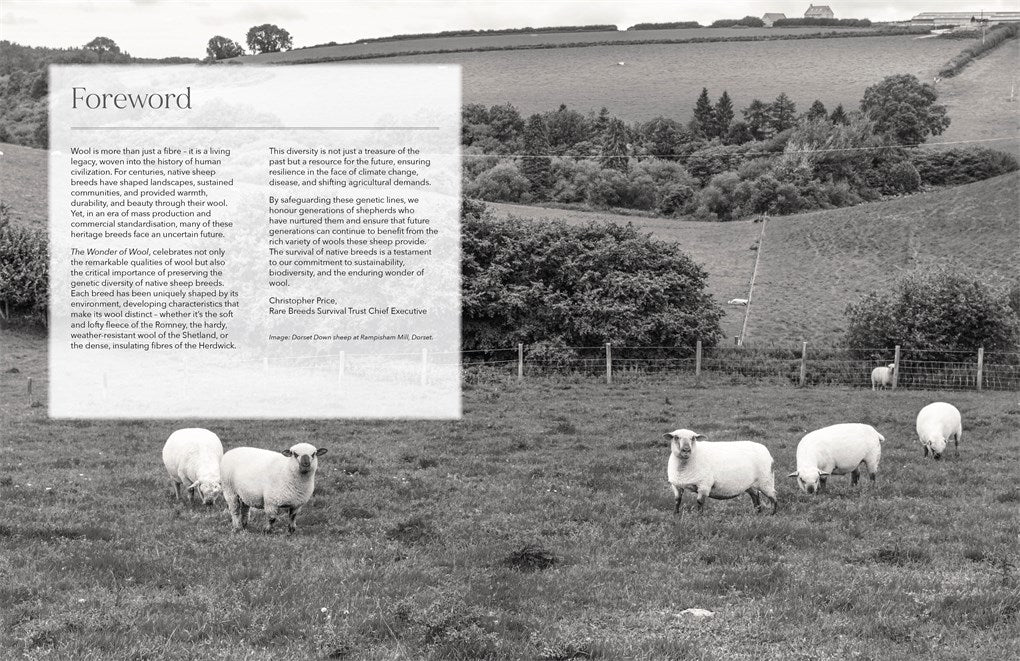The Wonder of Wool