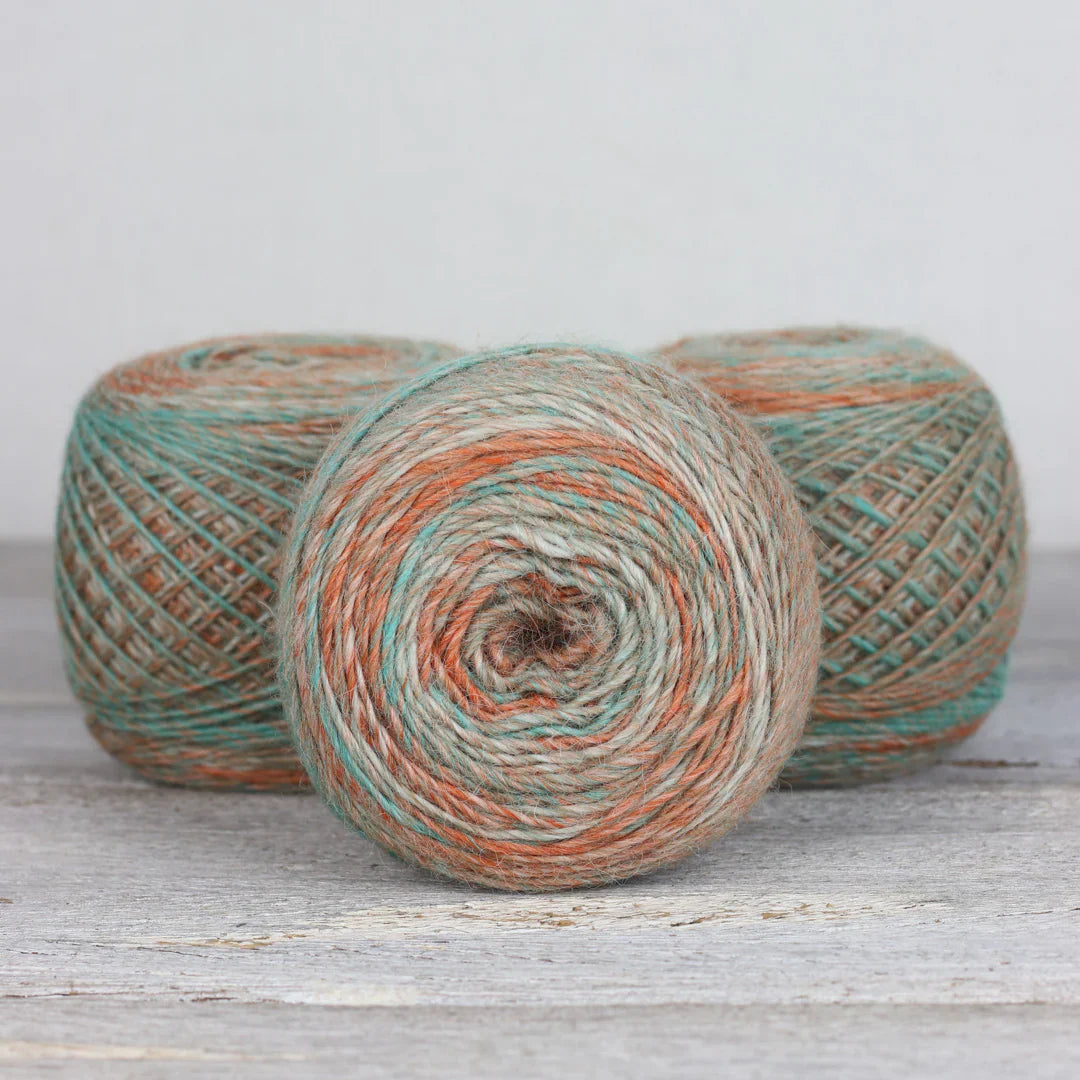 The Fibre Co. Transitions