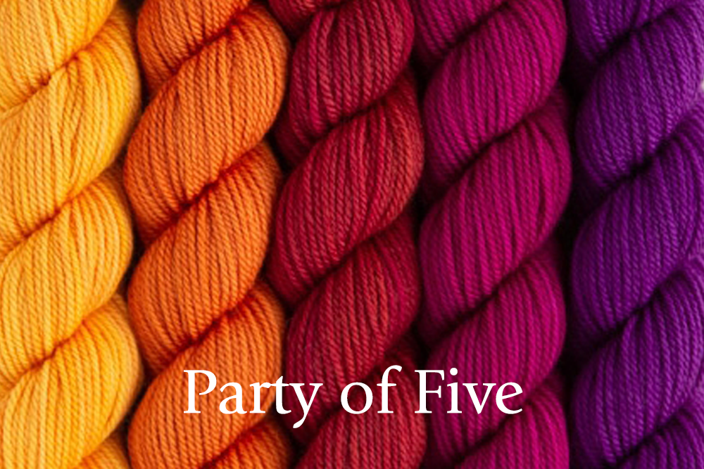 SweetGeorgia - Party of Five Sets Knitting Yarn – Purlescence