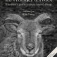 The Wonder of Wool