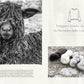 The Wonder of Wool