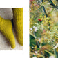 52 Weeks of Socks vol 2