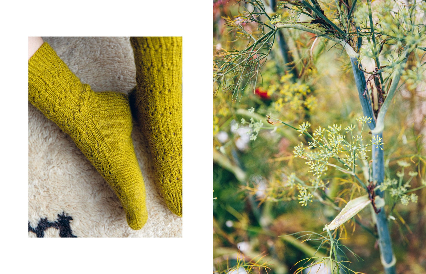 52 Weeks of Socks vol 2