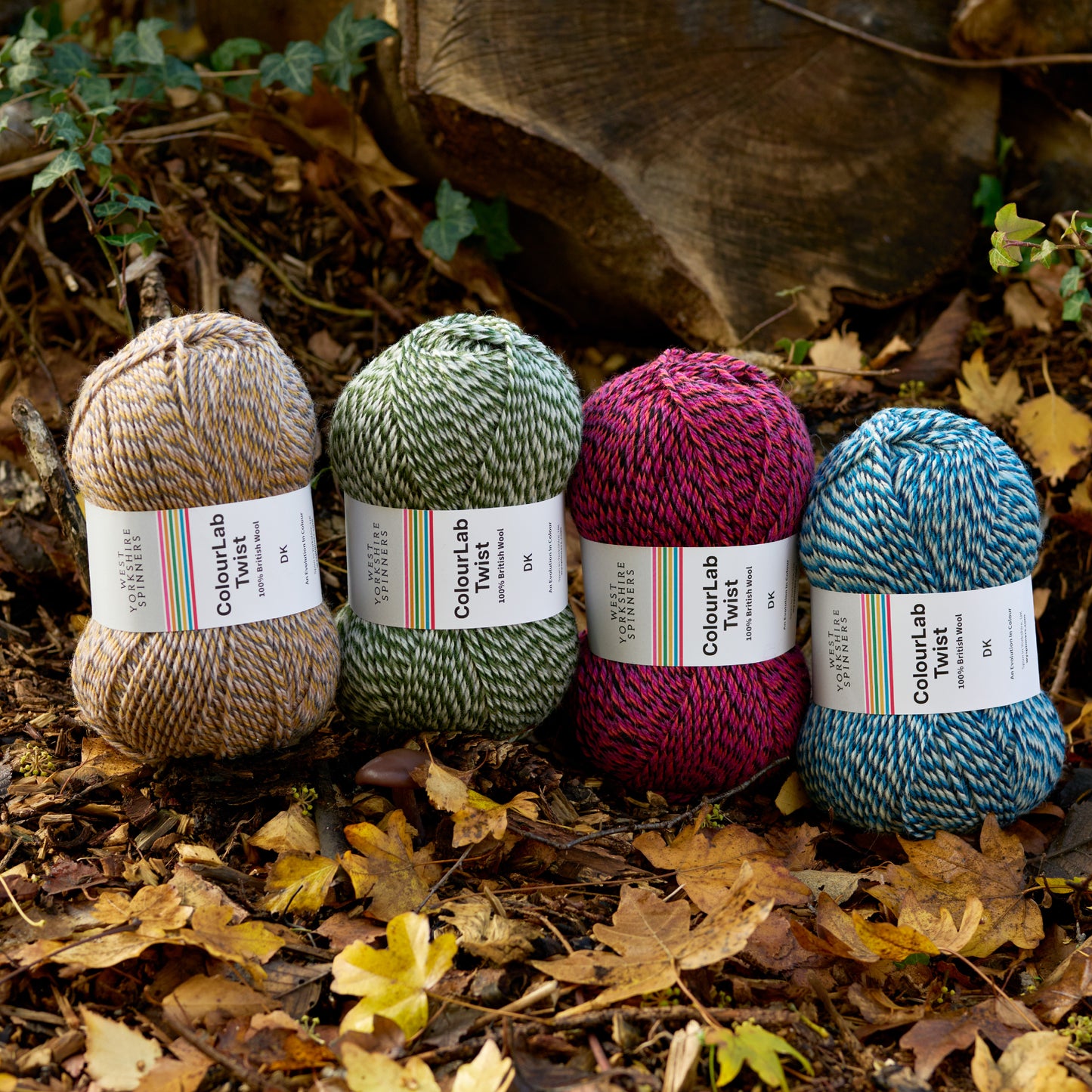 West Yorkshire Spinners - ColourLab Twist DK
