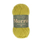 West Yorkshire Spinners - Morris DK