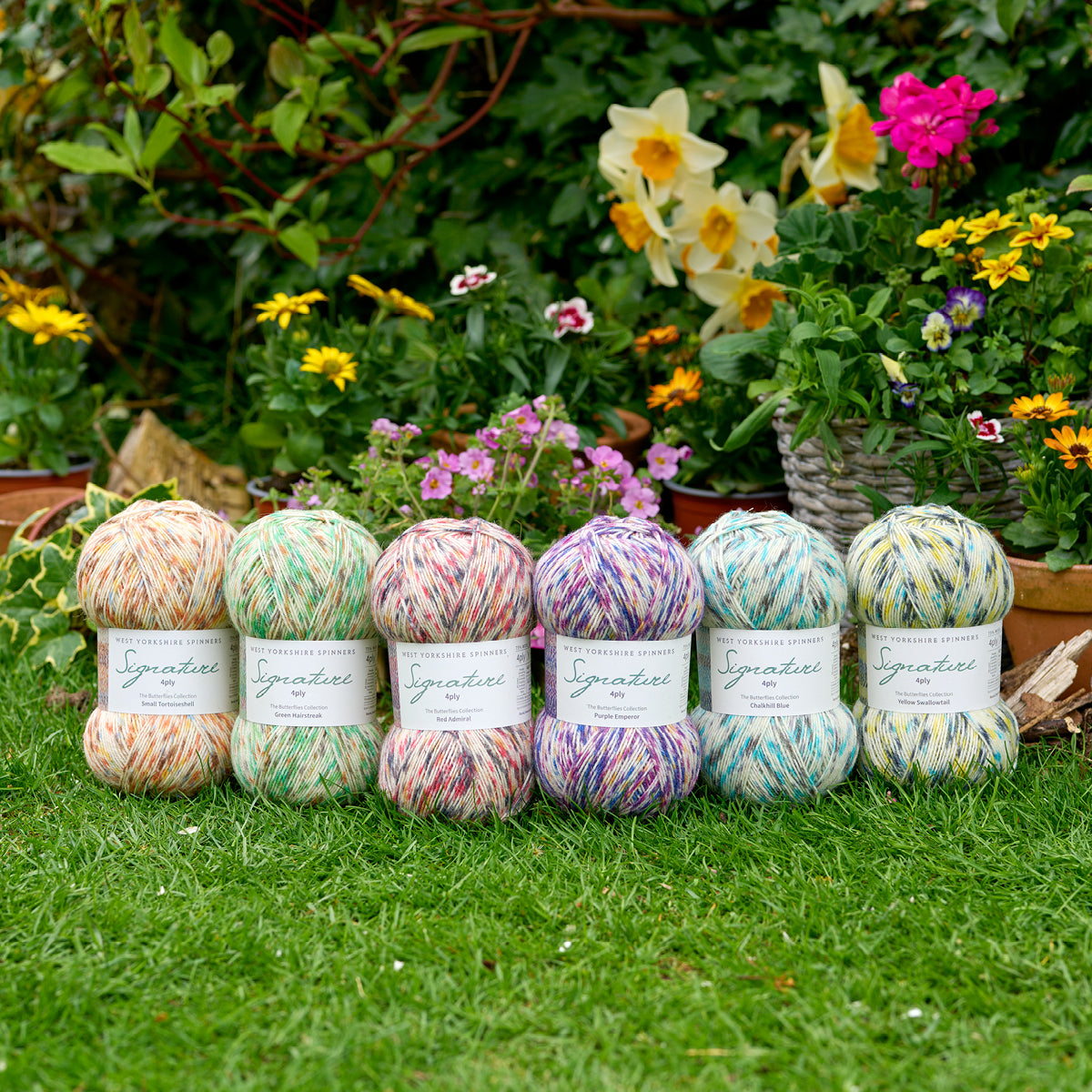 West Yorkshire Spinners - Signature 4 Ply