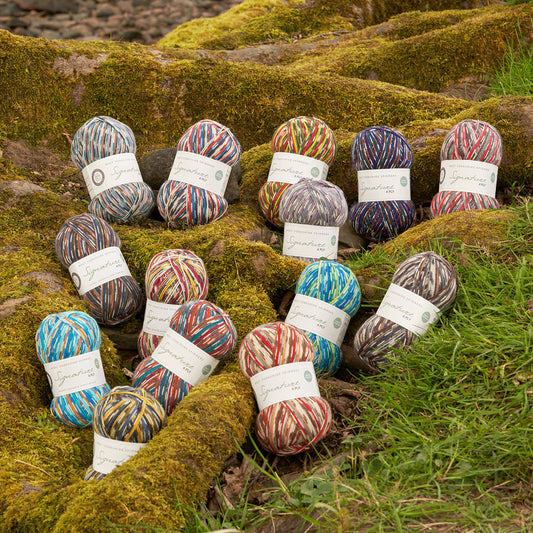 West Yorkshire Spinners - Country Birds Signature 4 Ply